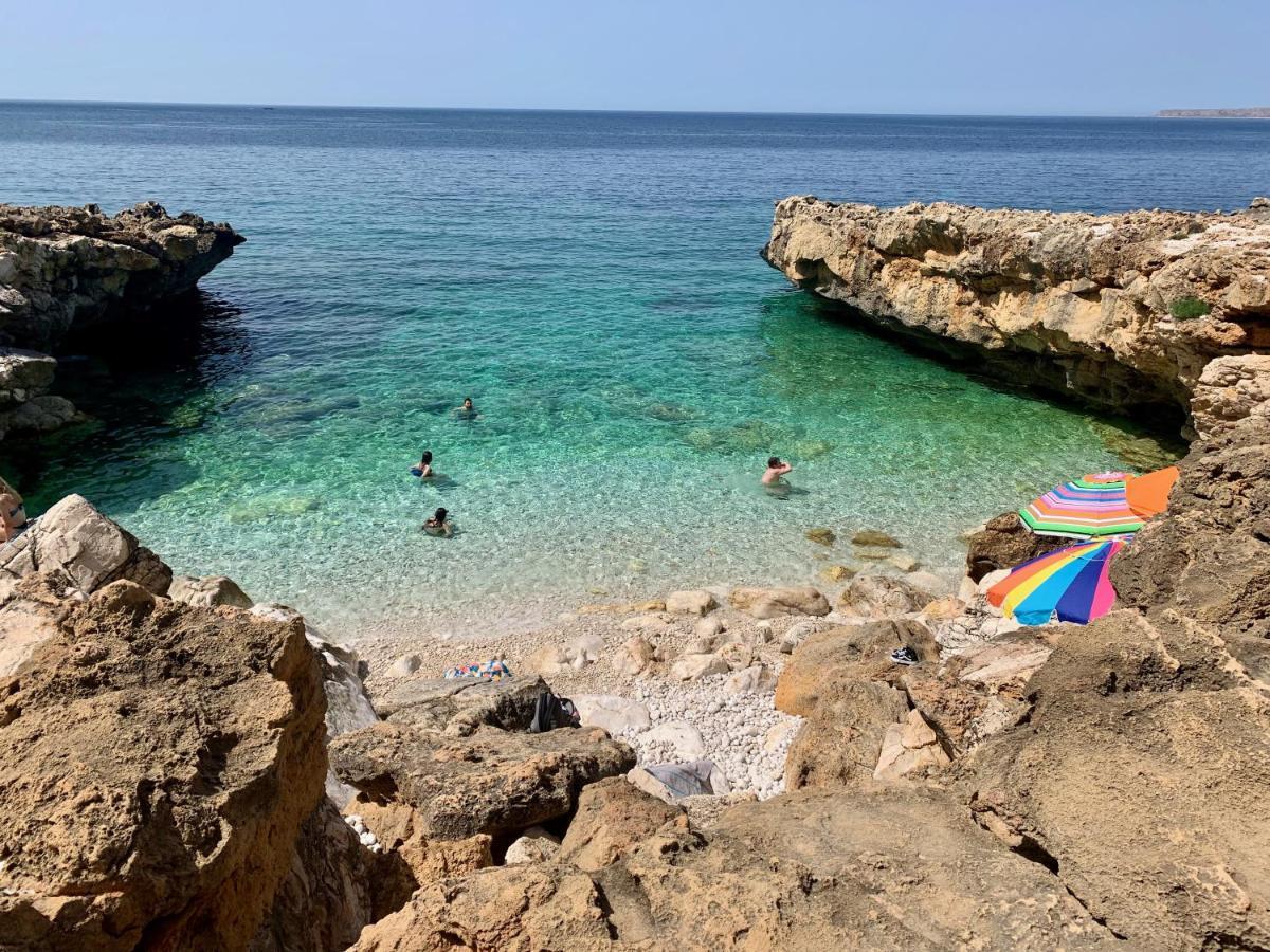 L'Oasi Una Pineta Sul Mare Custonaci Zewnętrze zdjęcie