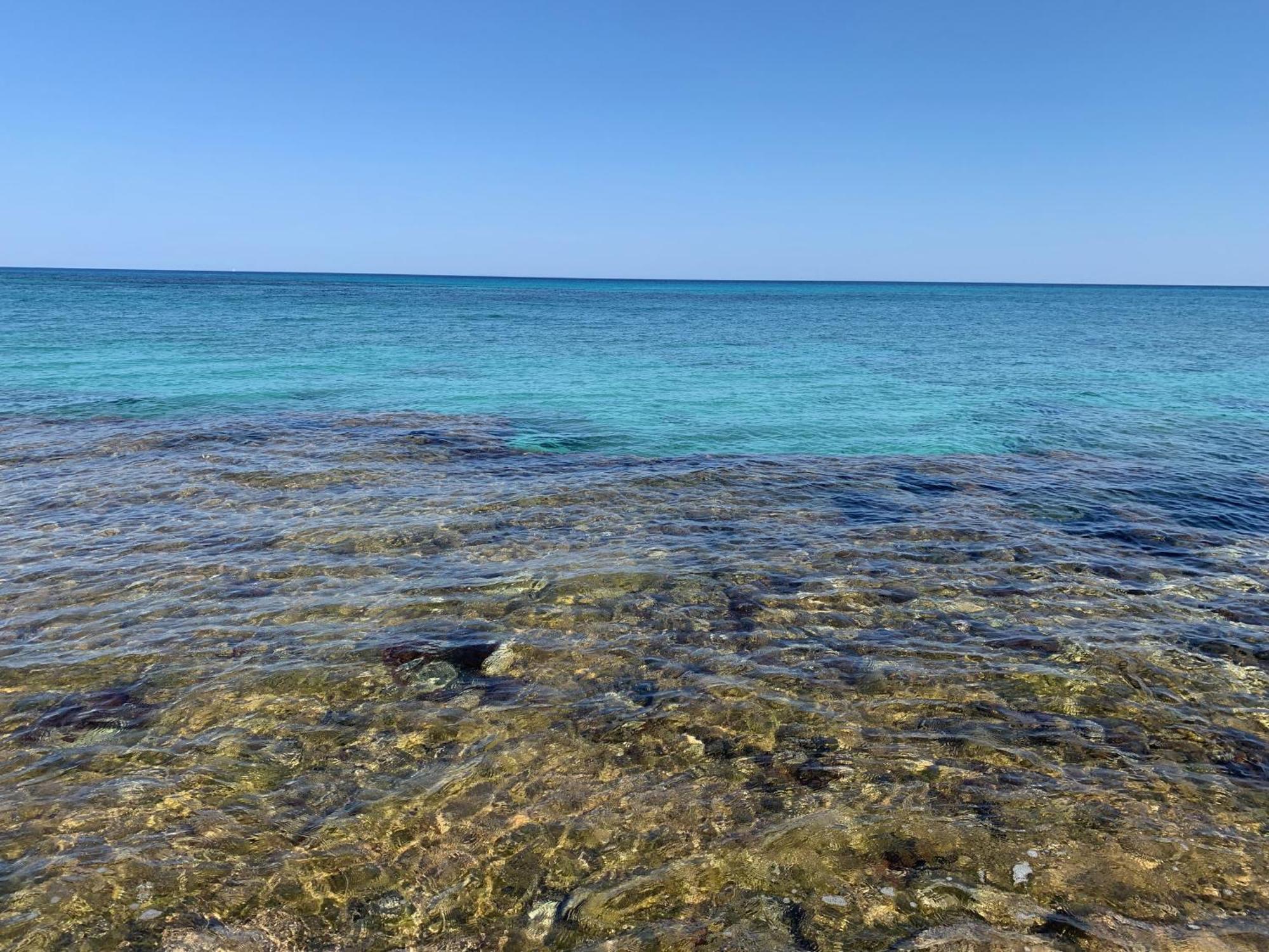 L'Oasi Una Pineta Sul Mare Custonaci Zewnętrze zdjęcie