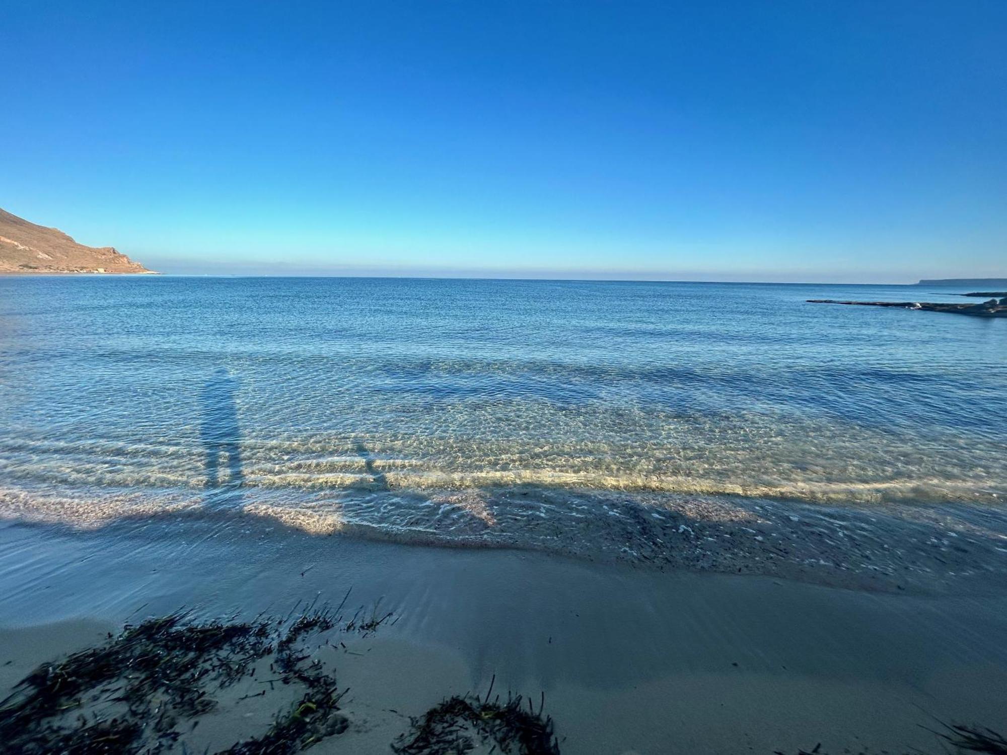 L'Oasi Una Pineta Sul Mare Custonaci Zewnętrze zdjęcie