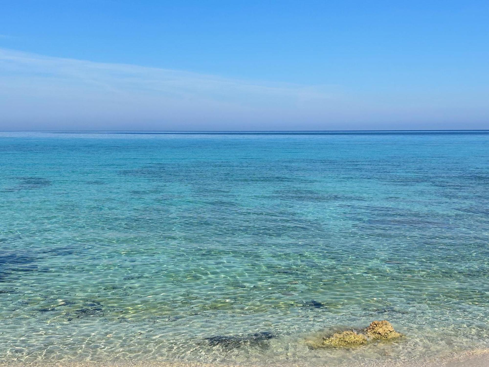 L'Oasi Una Pineta Sul Mare Custonaci Zewnętrze zdjęcie