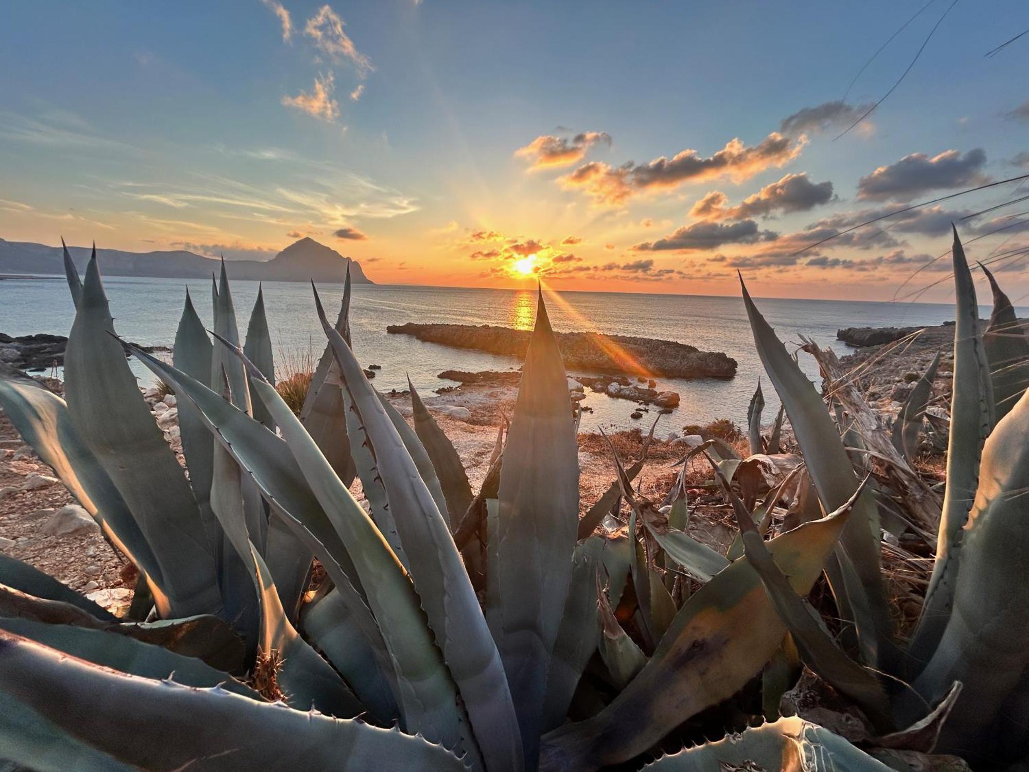 L'Oasi Una Pineta Sul Mare Custonaci Zewnętrze zdjęcie