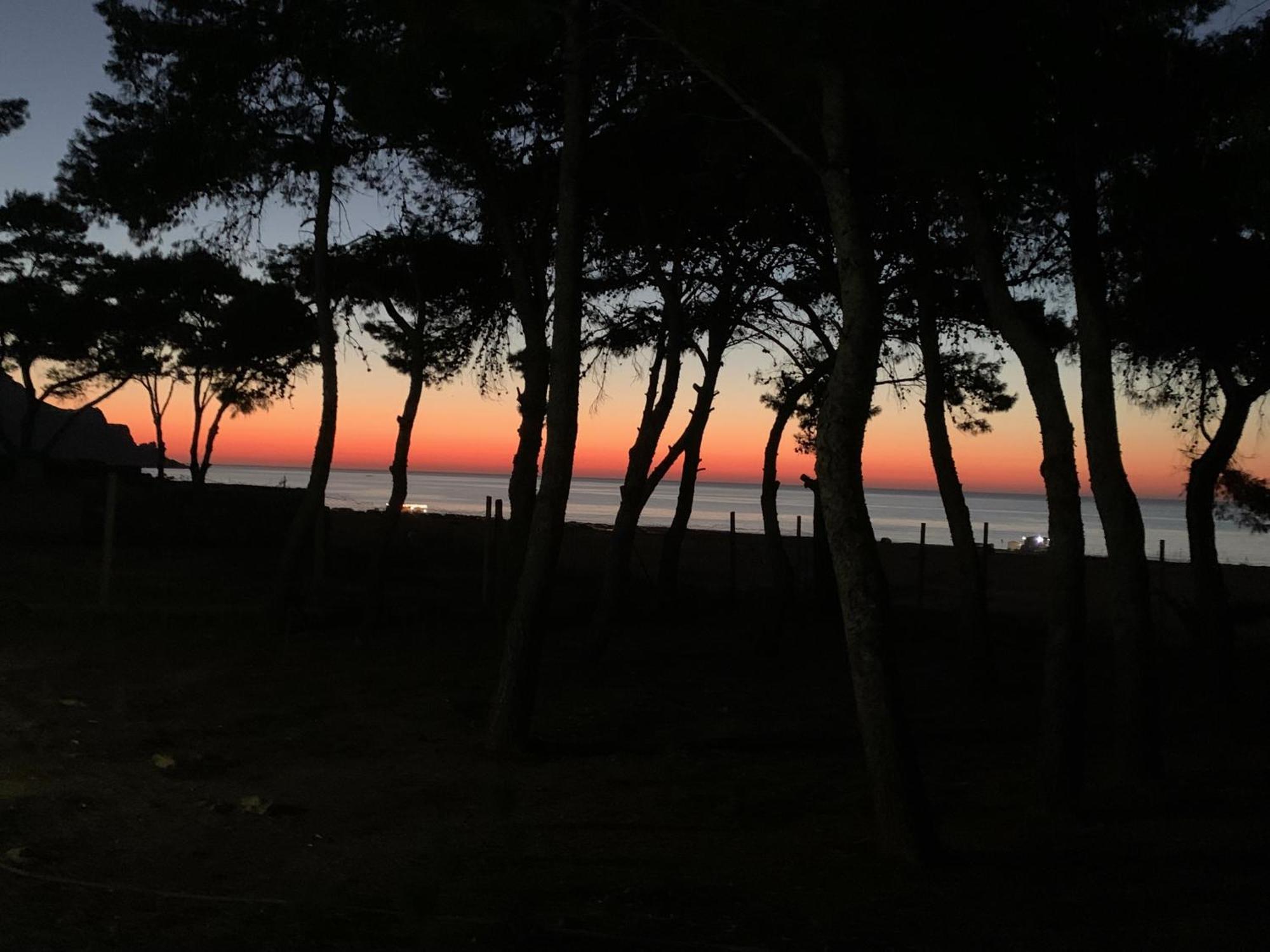 L'Oasi Una Pineta Sul Mare Custonaci Zewnętrze zdjęcie