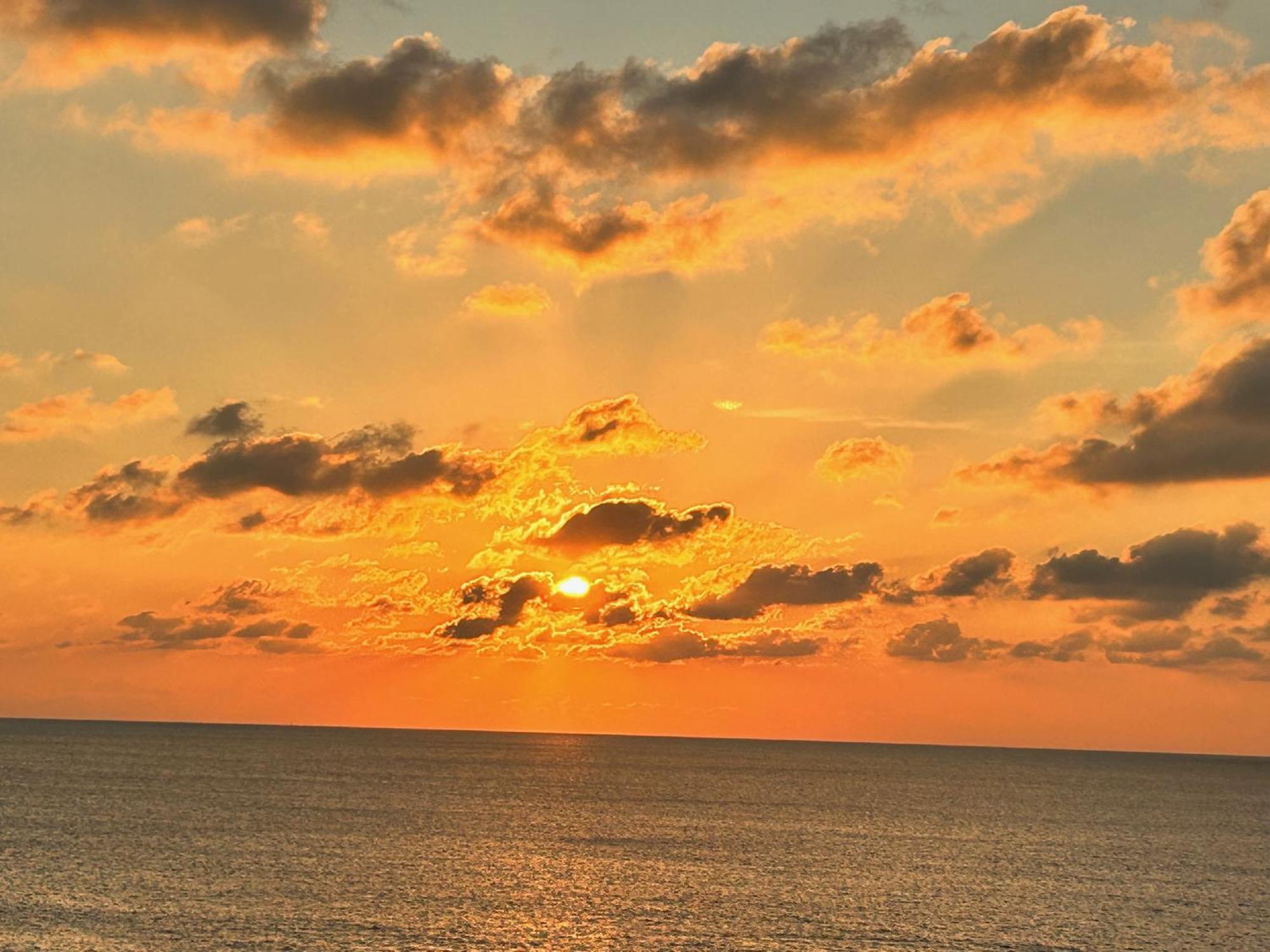 L'Oasi Una Pineta Sul Mare Custonaci Zewnętrze zdjęcie
