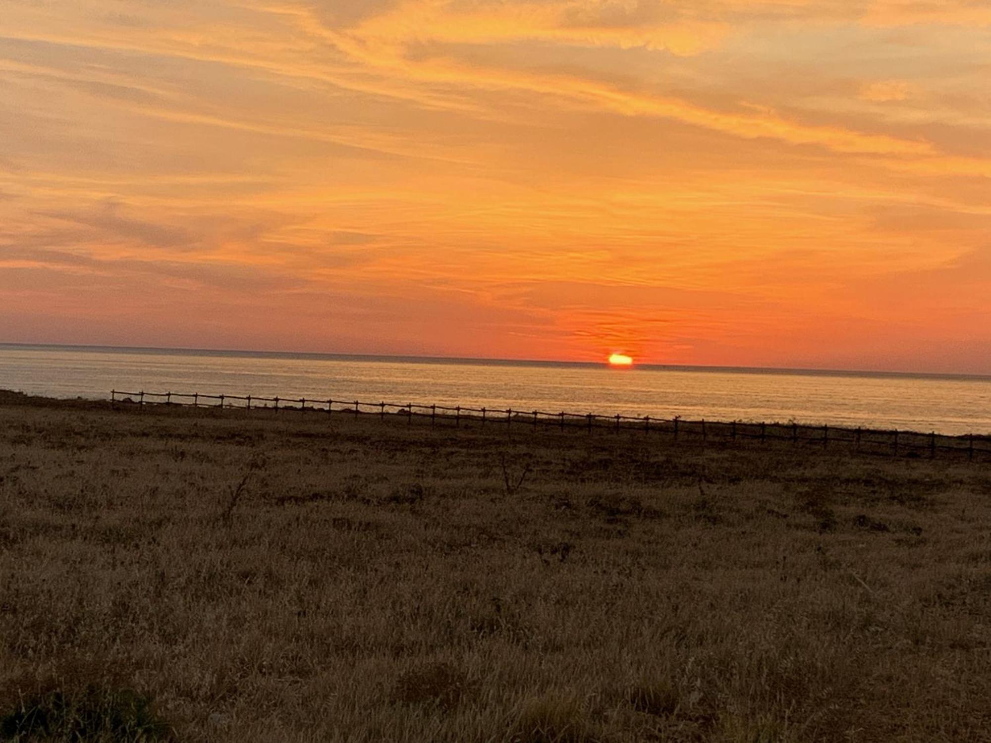L'Oasi Una Pineta Sul Mare Custonaci Zewnętrze zdjęcie